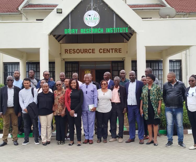 Empowering Mental Health Champions